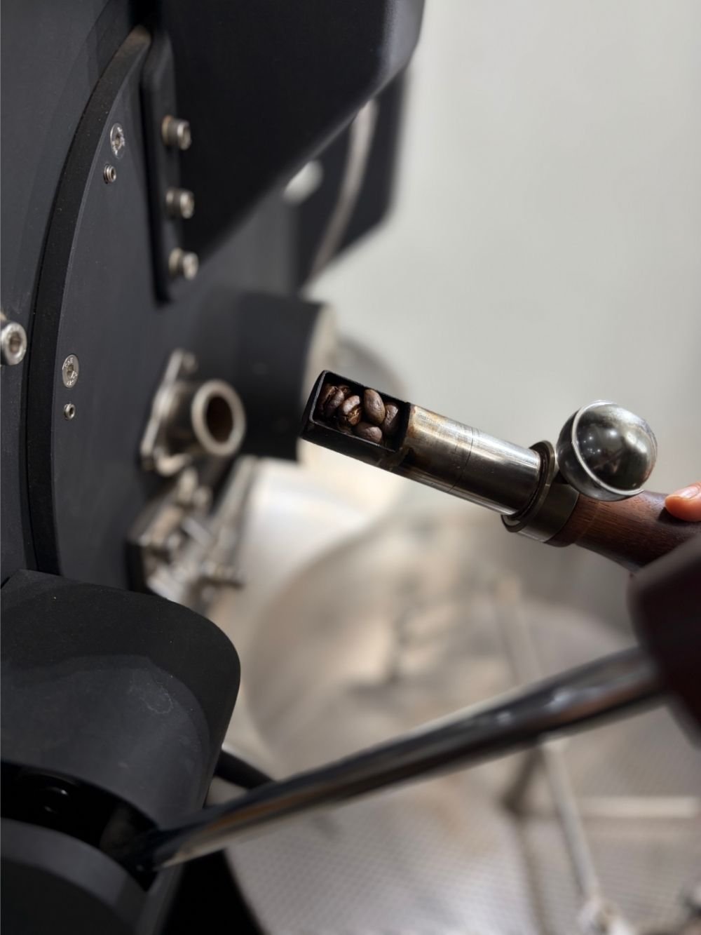Illustrative roasting scene