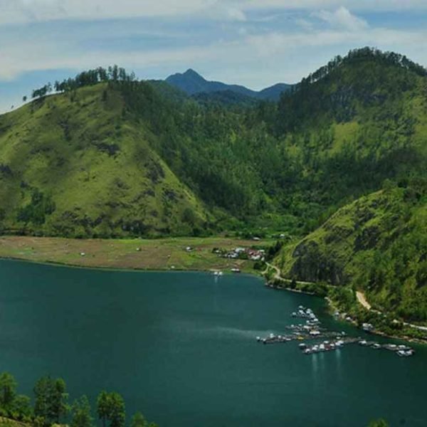 gayo