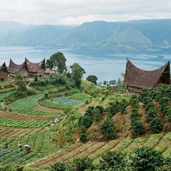 lintong